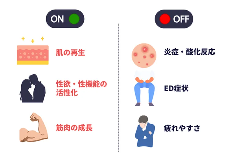 ペプチド療法の解説