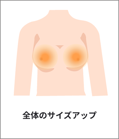 全体のサイズアップ